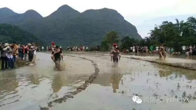 管家婆资料公开网站