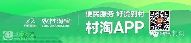 管家婆资料公开网站